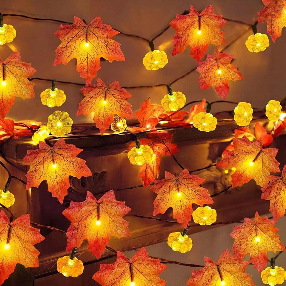 Guirlande lumineuse de 10 LED  - Led Fairy String Lights avis et prix